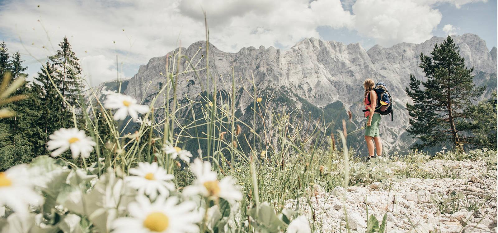 Eine Frau mit Rucksack steht auf einer Wiese mit Blumen und Steinen und sieht die Berge an